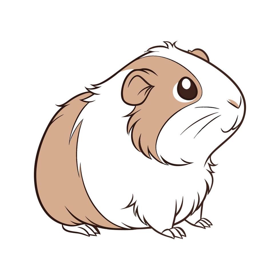 Elegant Realistic Color Illustration of Guinea Pig vector