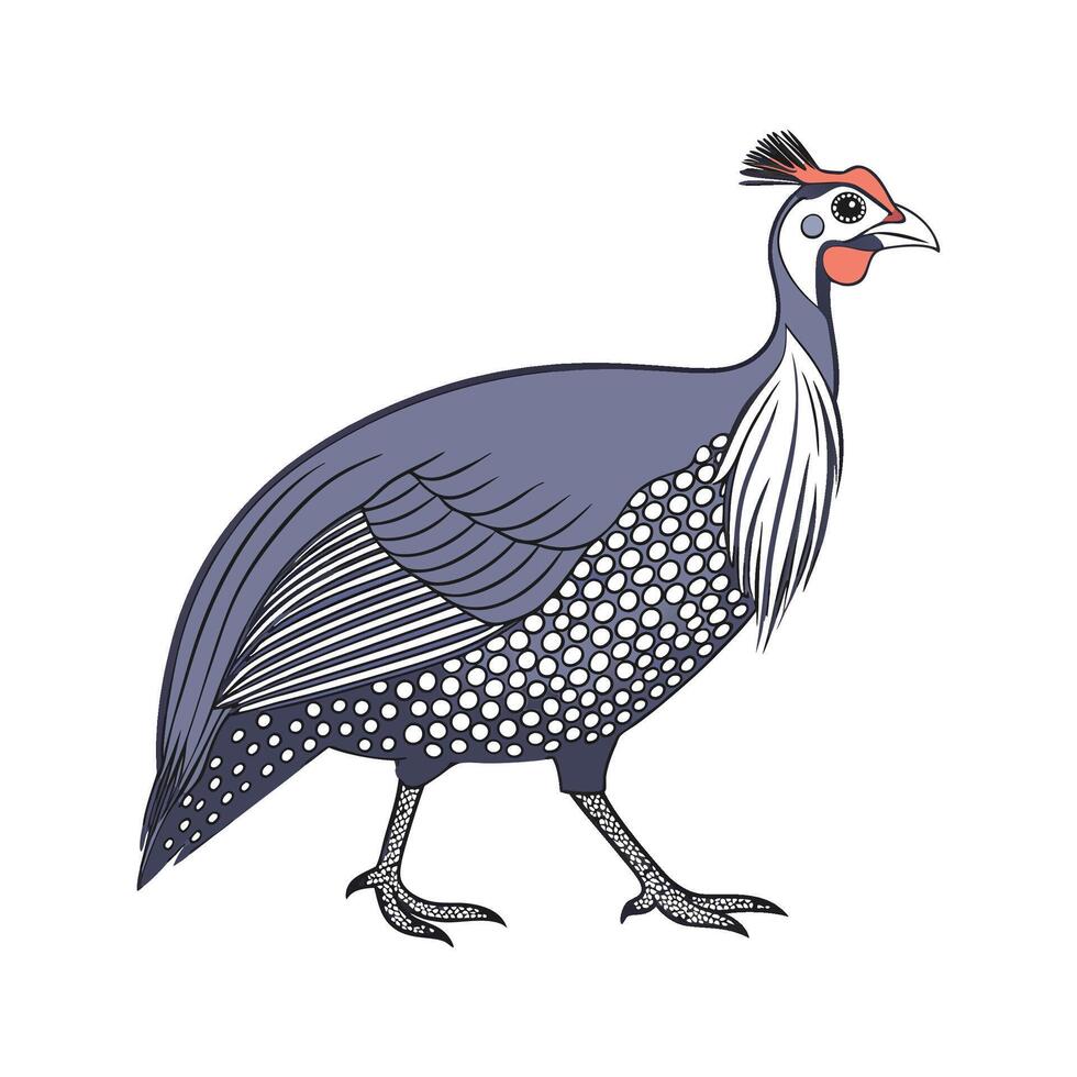 Elegant Outline of Realistic Guinea Fowl vector