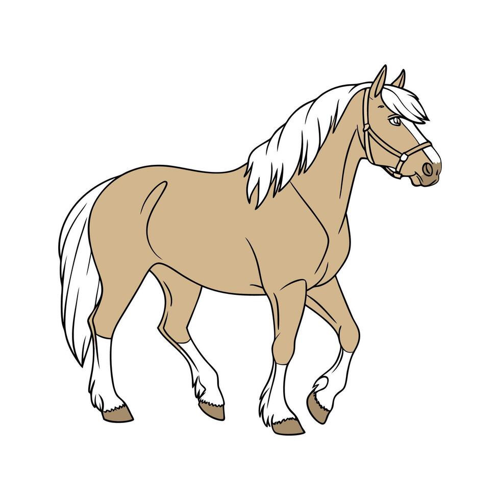 Elegant Realistic Color Illustration of Haflinger Horse vector