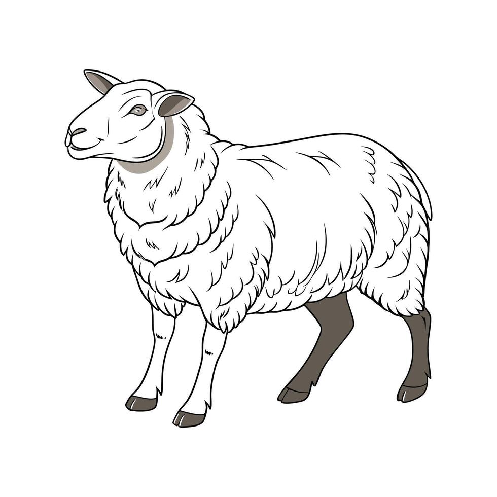 Stylish Hampshire Sheep in Beautiful Colors vector