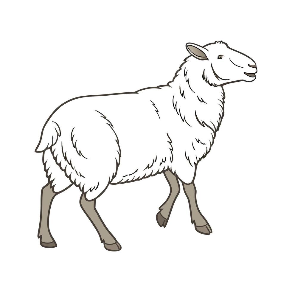 Stylish Hampshire Sheep in Vibrant Realistic Colors vector