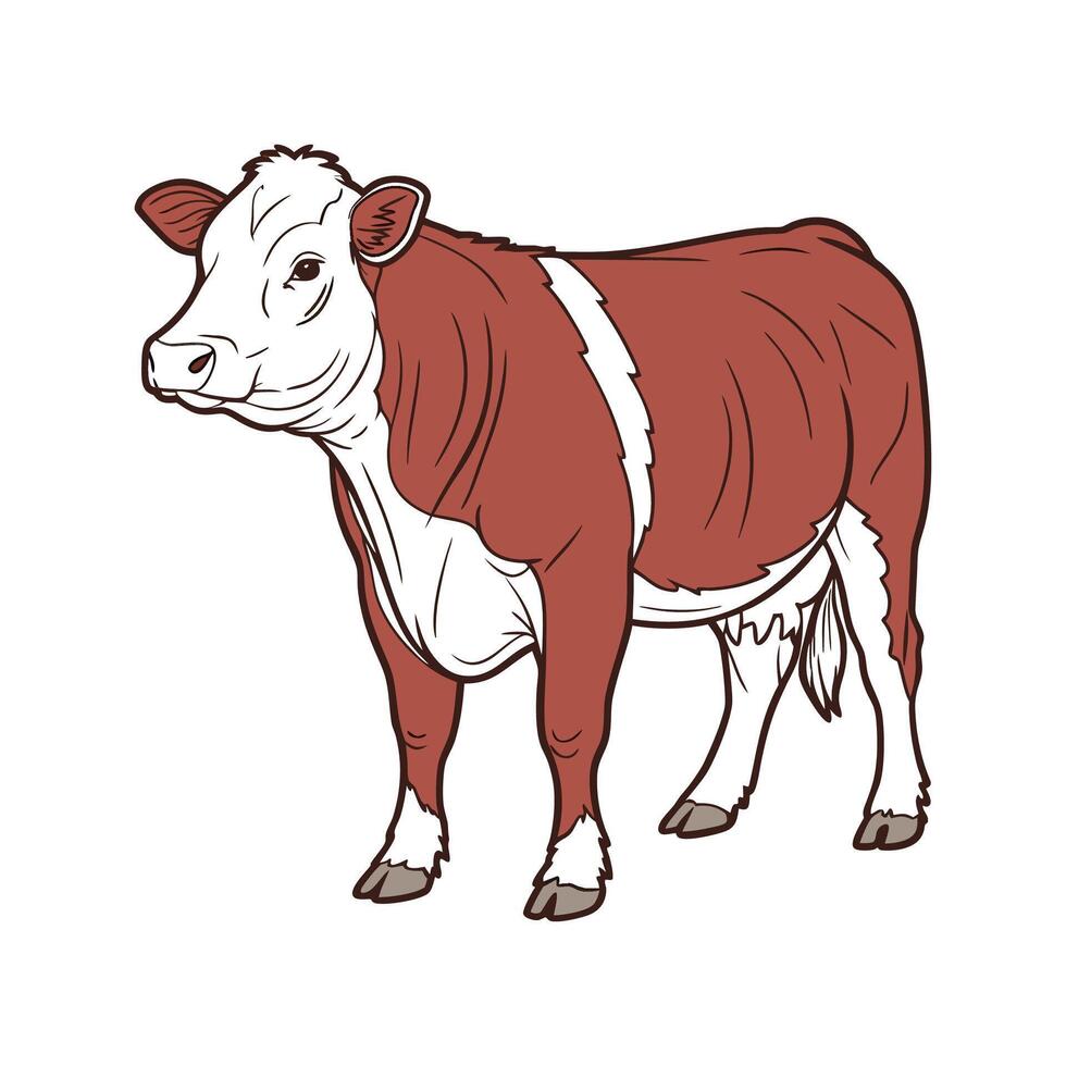 Realistic Hereford Cow Color Illustration Design vector