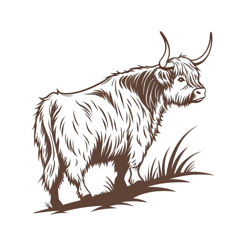Lifelike Highland Cow Illustration in Bright Colors vector
