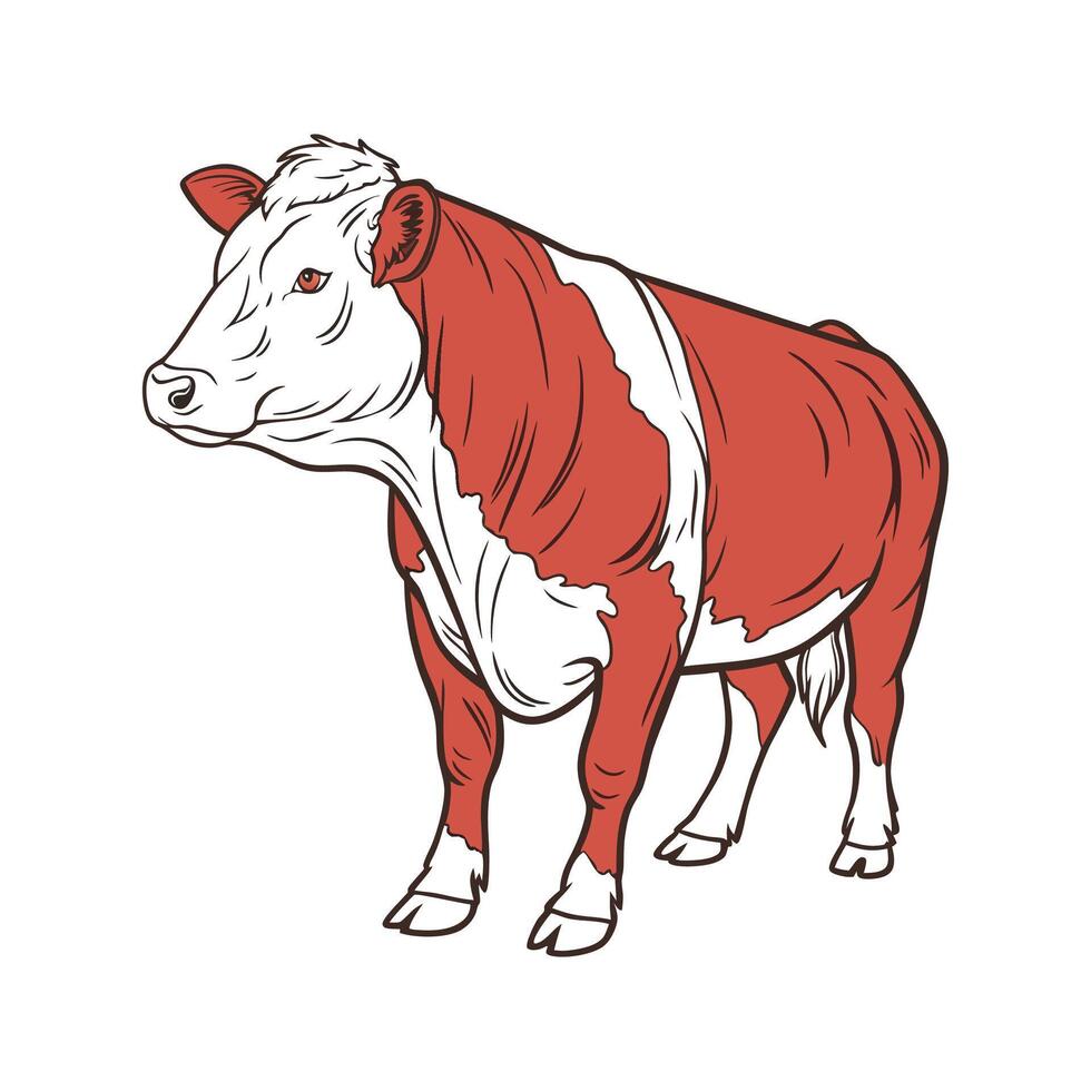 Vibrant Hereford Cow Illustration in Natural Colors vector