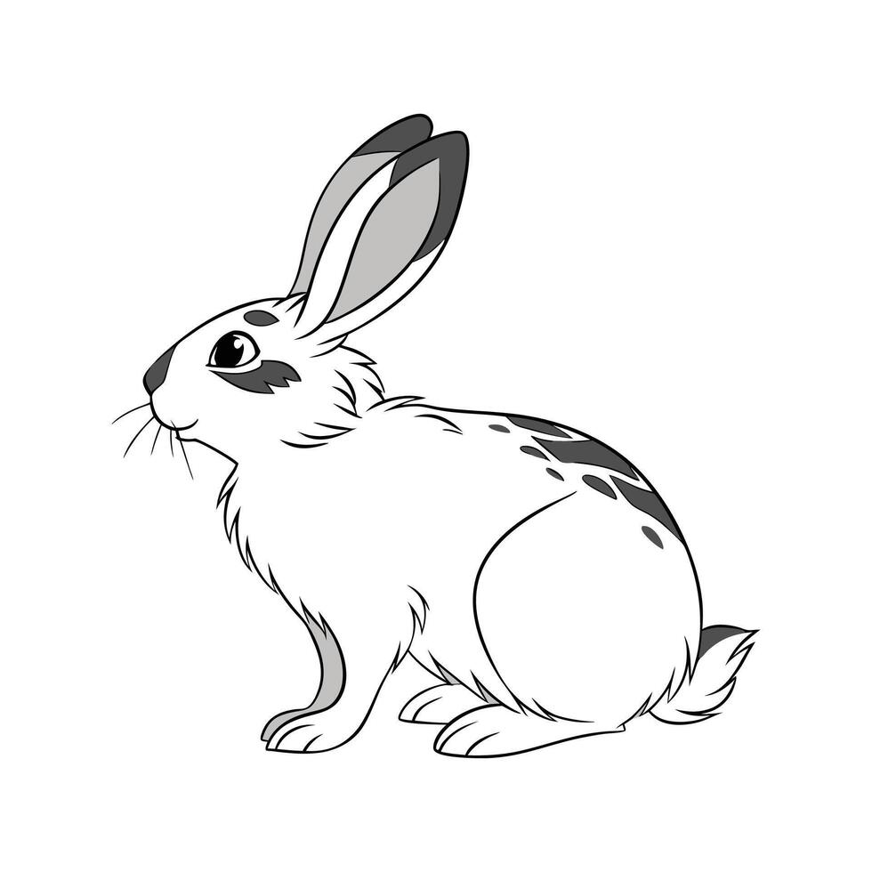 Vivid Himalayan Rabbit Color Illustration with Detail vector