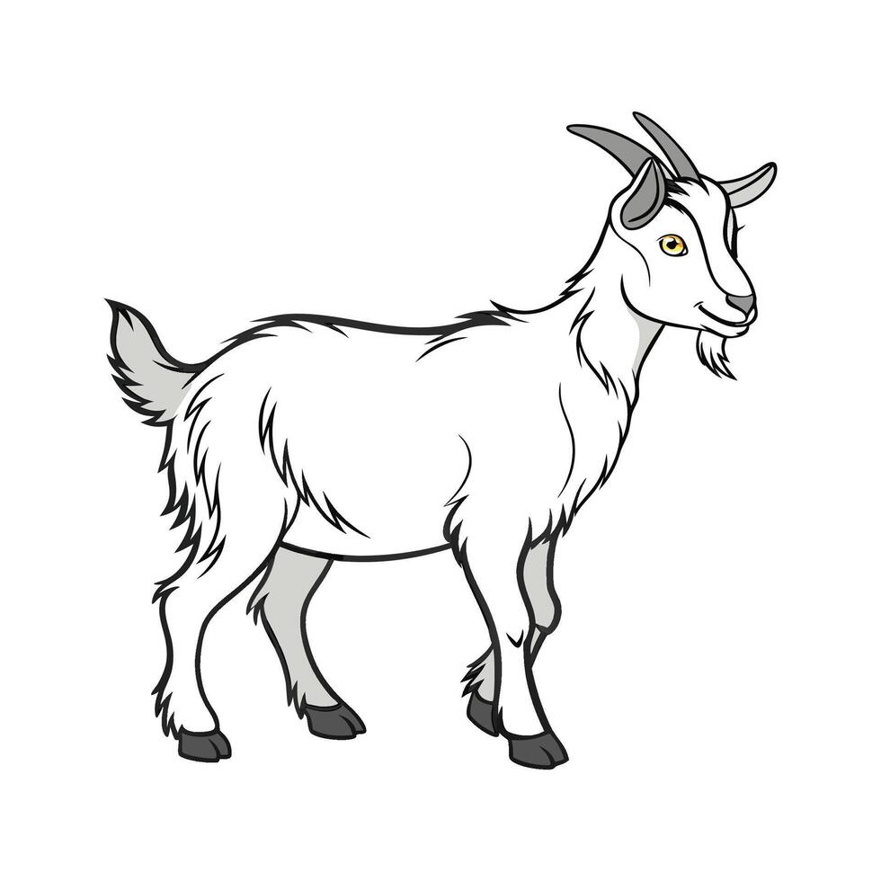 Charming Kiko Goat Color Illustration with Outlines vector
