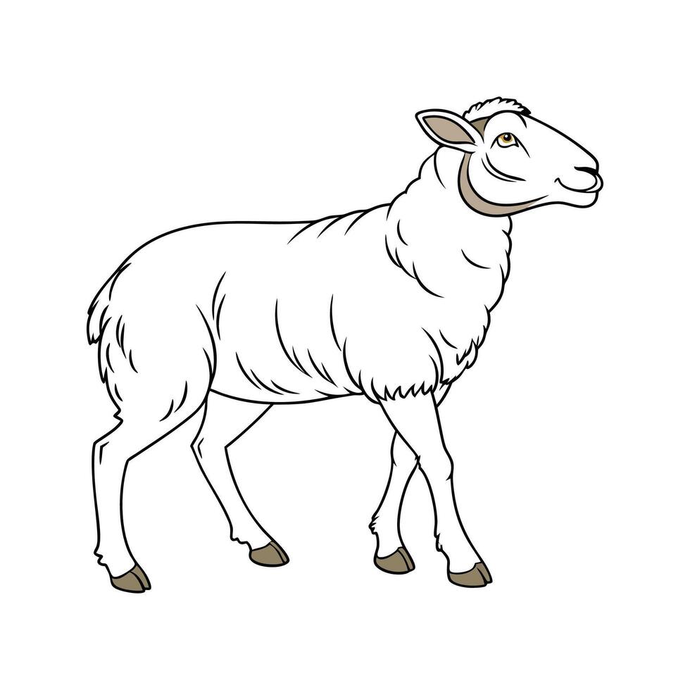 Engaging Katahdin Sheep Realistic Color Illustration vector