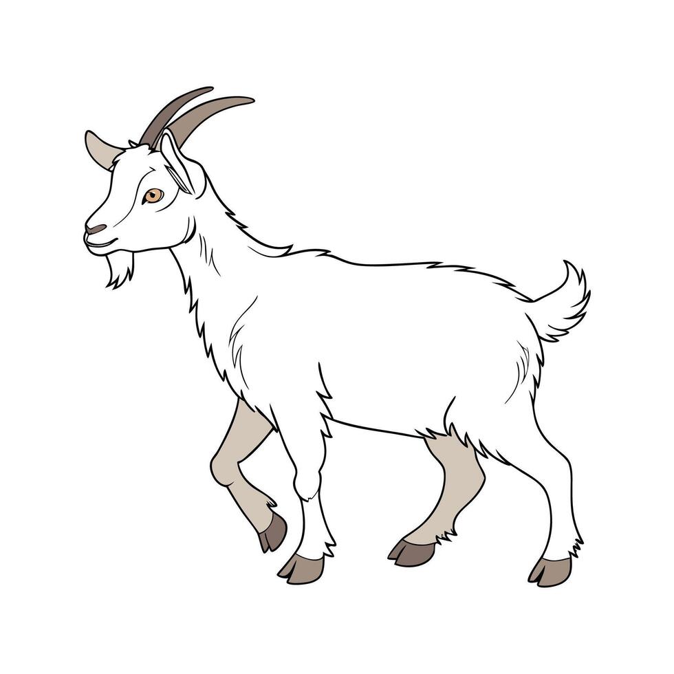 Vivid Kiko Goat Realistic Color Illustration with Defined Edges vector