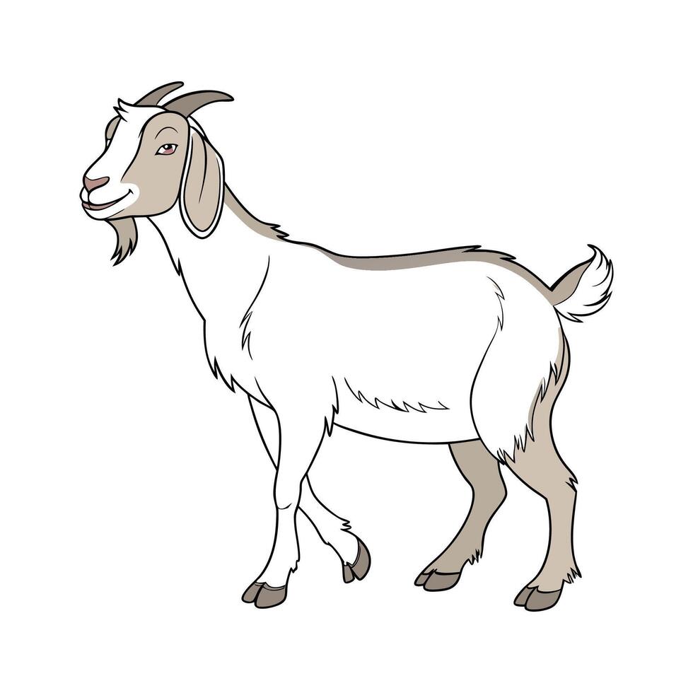 Stylish LaMancha Goat Realistic Color Illustration Design vector