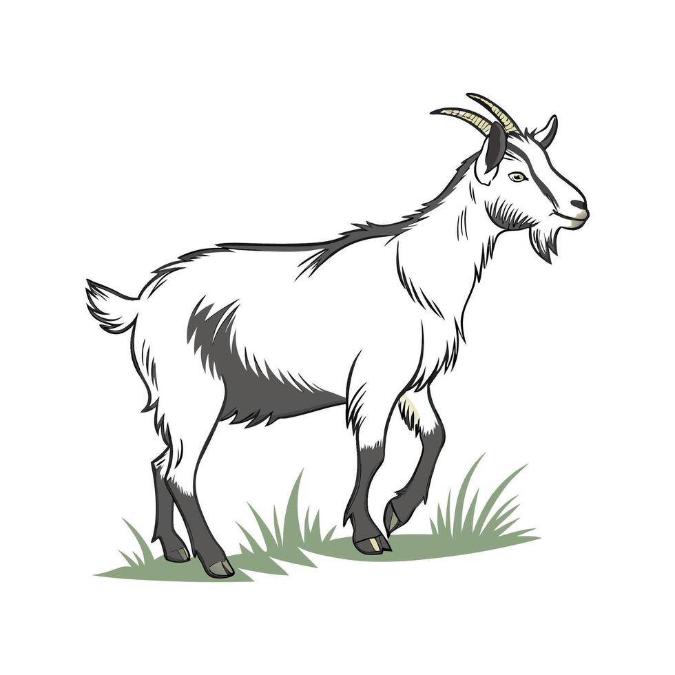 Captivating LaMancha Goat Realistic Color Illustration Art vector