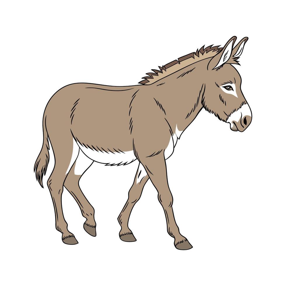 Dynamic Mule Color Illustration with Realistic Features vector