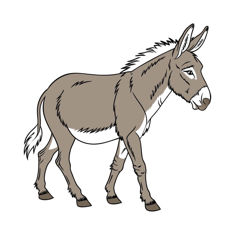 Charming Mule Realistic Illustration with Outline Features vector