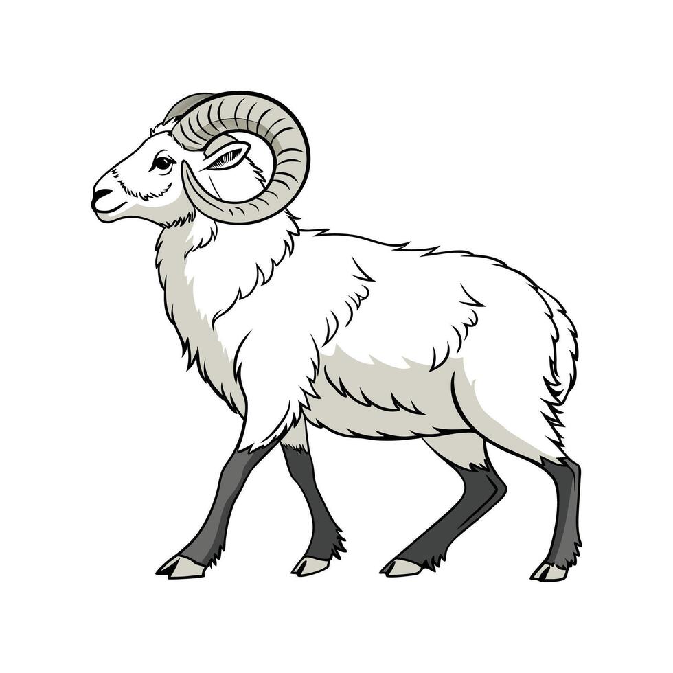 Distinctive Norfolk Horn Sheep Realistic Color Illustration vector