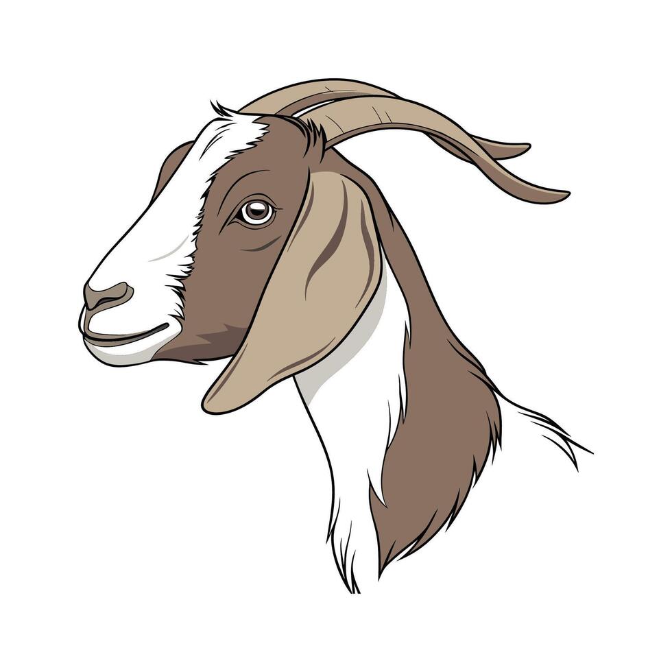 Engaging Nubian Goat Realistic Color Illustration on White vector