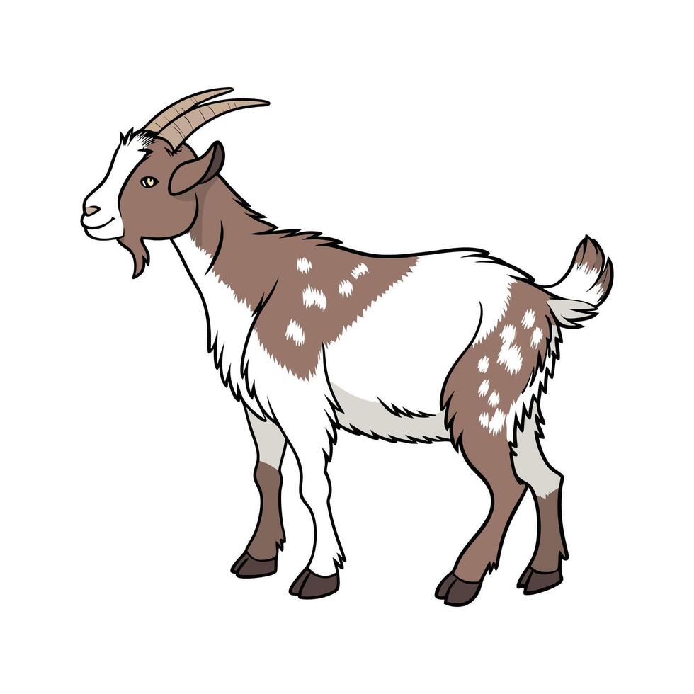 Engaging Nigerian Dwarf Goat Realistic Color Illustration vector