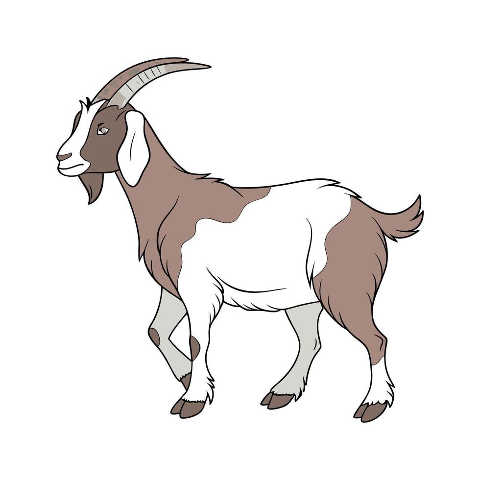 Charming Nubian Goat Realistic Color Illustration with Detail vector
