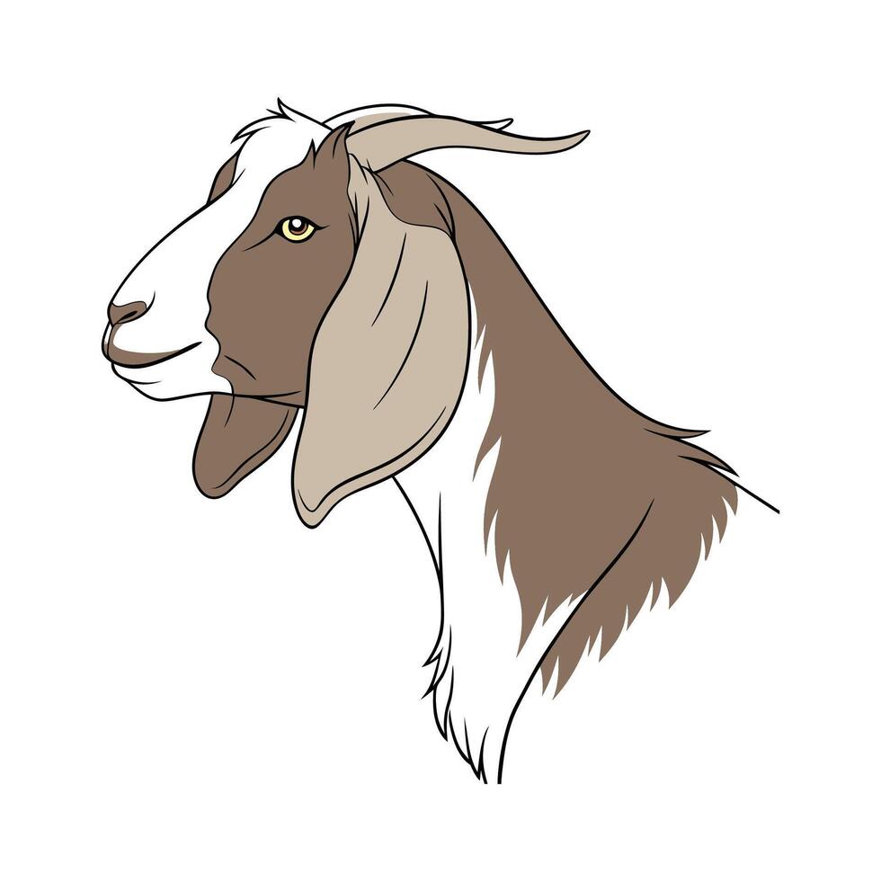 Dynamic Nubian Goat Color Illustration with Realistic Outlines vector