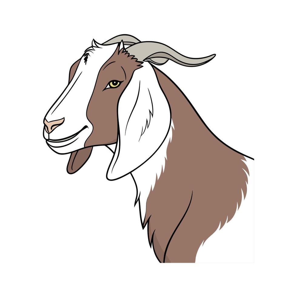 Distinctive Nubian Goat Realistic Color Illustration with Outline vector