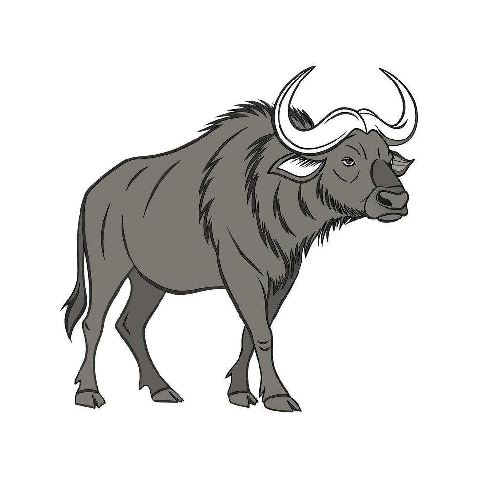 Vibrant Ox Realistic Color Illustration on White Background vector