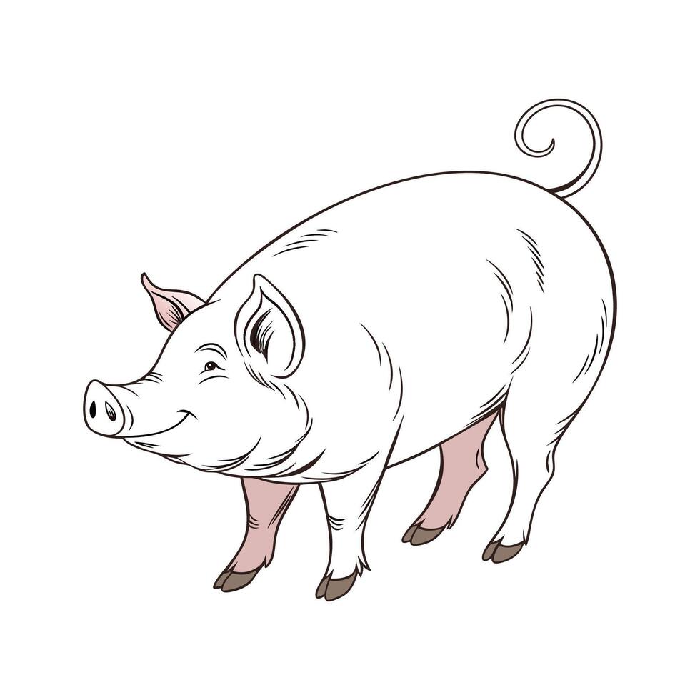Vibrant Pig Realistic Color Illustration on White Background vector