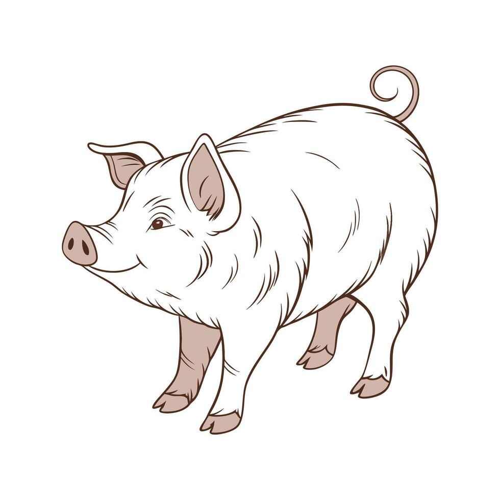 Charming Pig Realistic Color Illustration on White vector