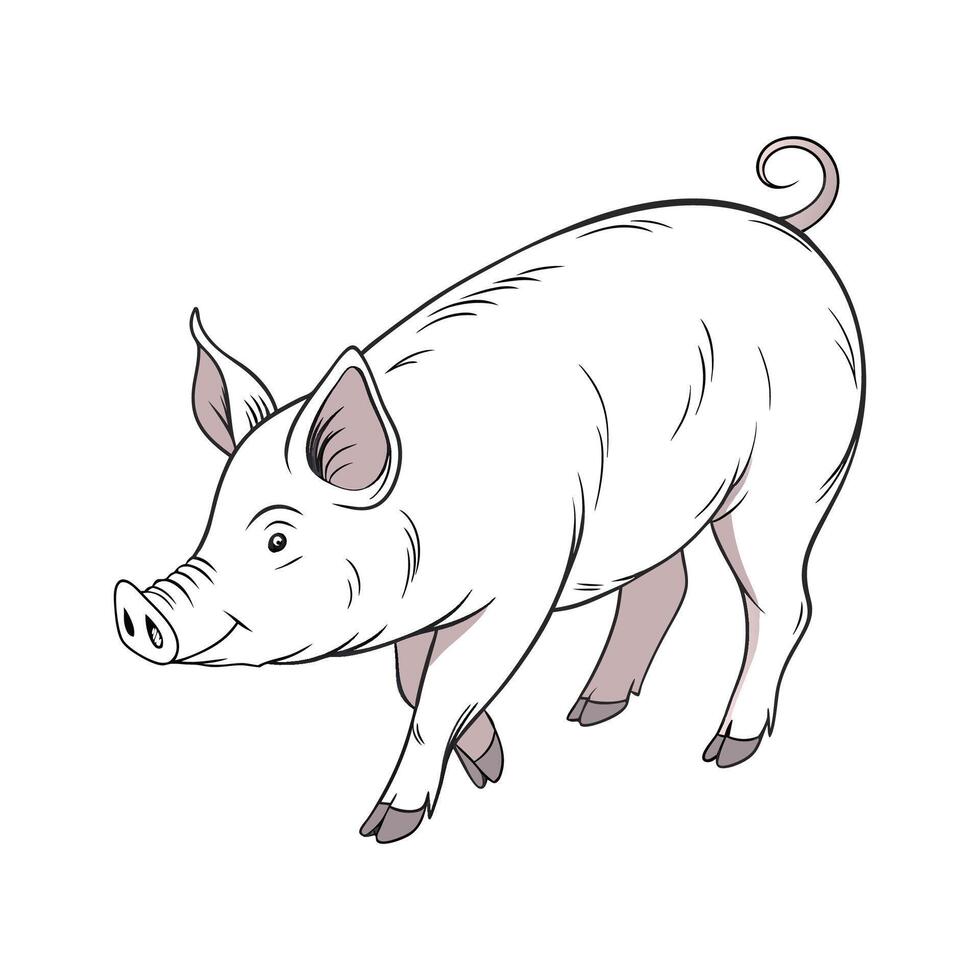 Dynamic Pig Realistic Color Illustration on White vector
