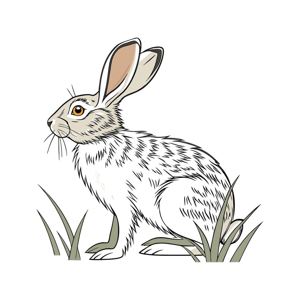 Engaging Rabbit Realistic Color Illustration on White vector