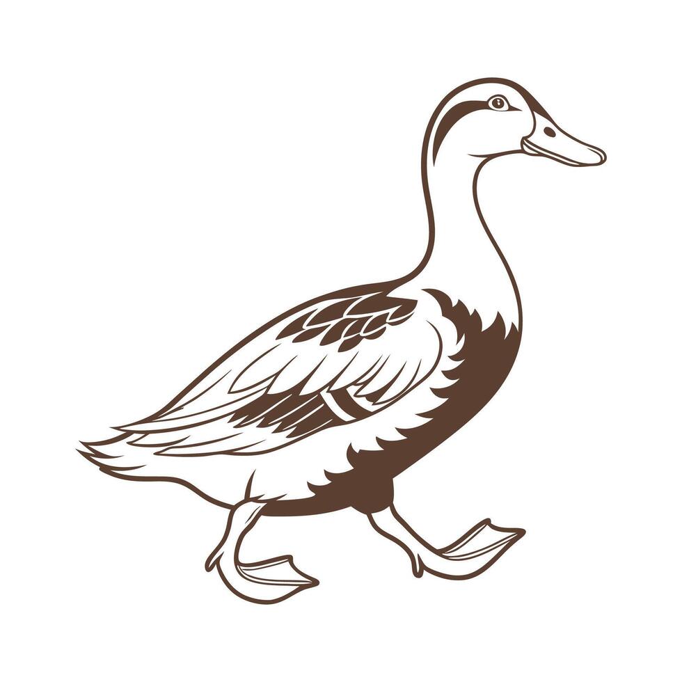 Vivid Runner Duck Realistic Color Illustration vector