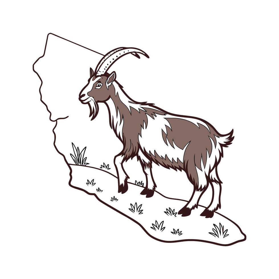 Charming San Clemente Island Goat Realistic Color Illustration. vector
