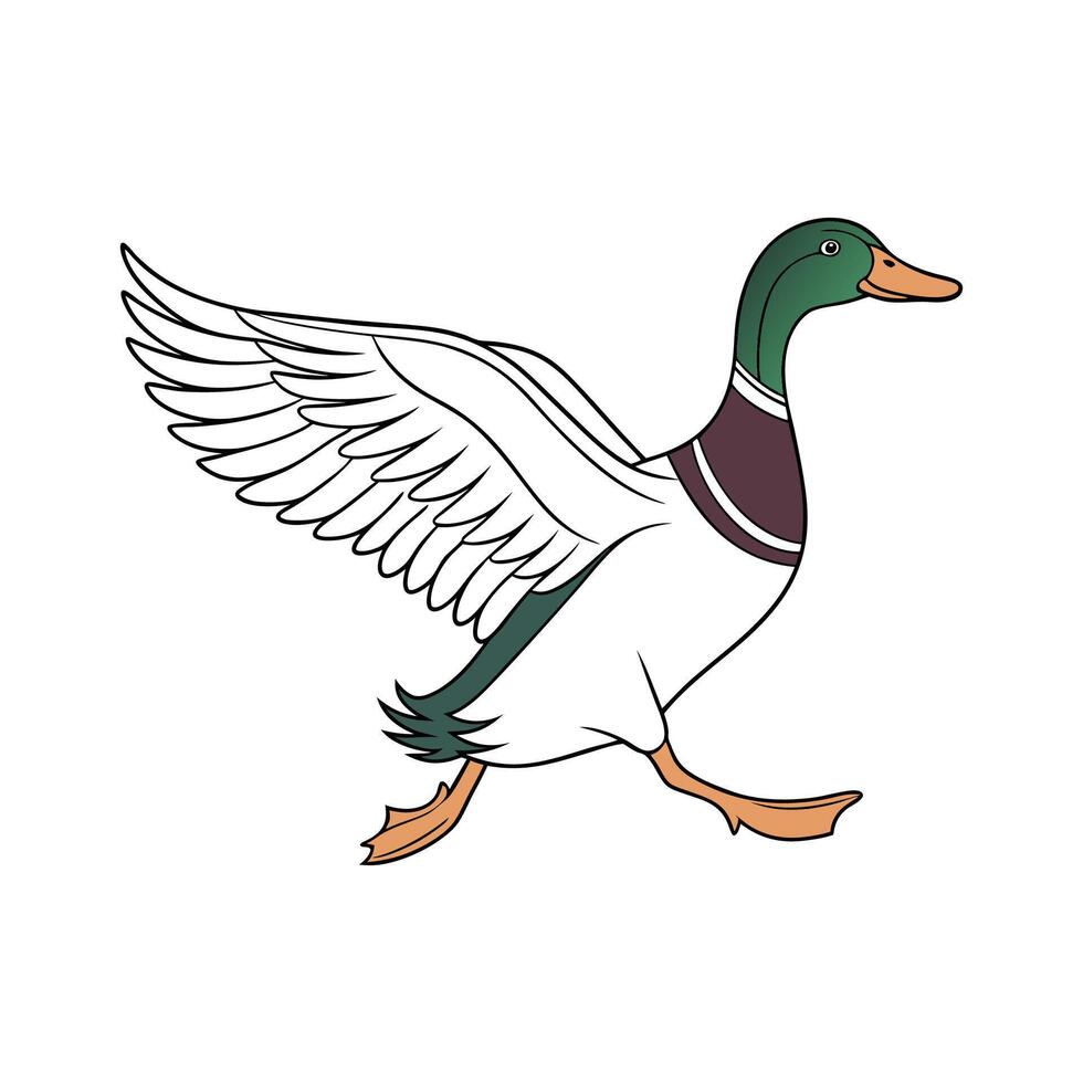Charming Runner Duck Realistic Color Illustration vector