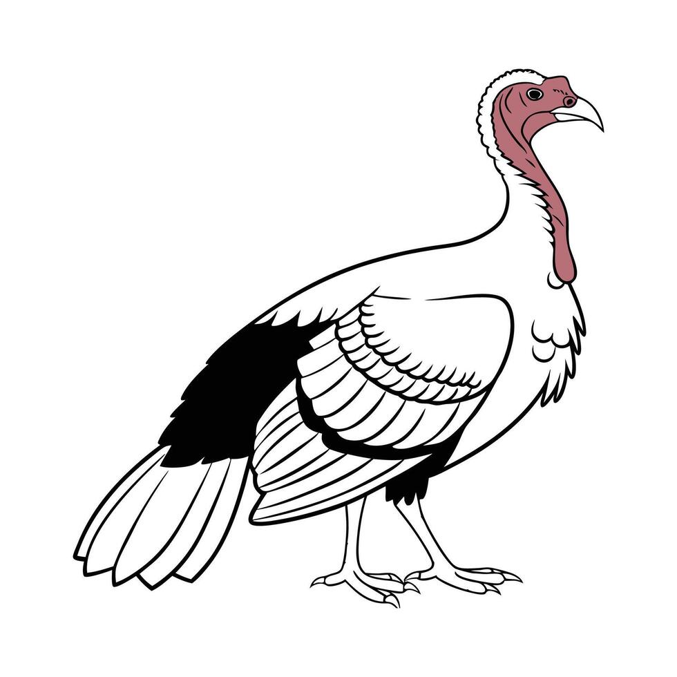 Engaging Royal Palm Turkey Realistic Color Illustration vector