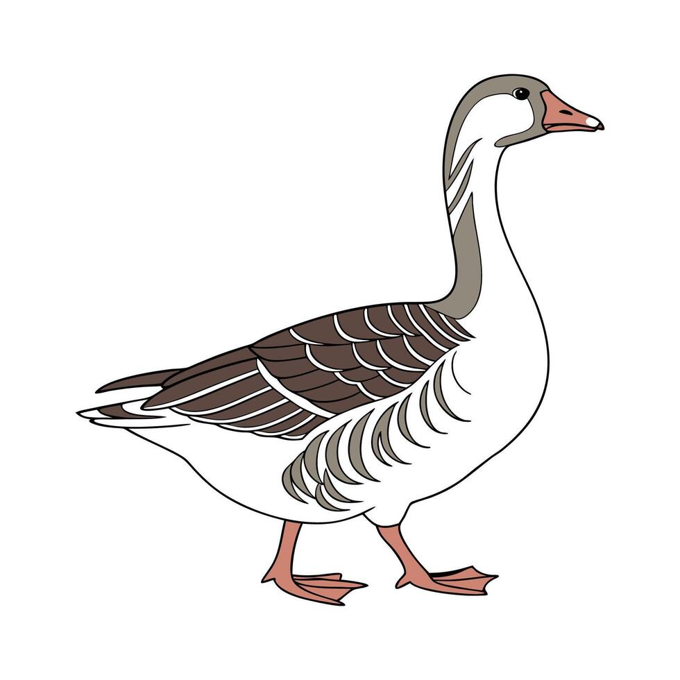 Dynamic Saxony Goose Realistic Color Illustration vector