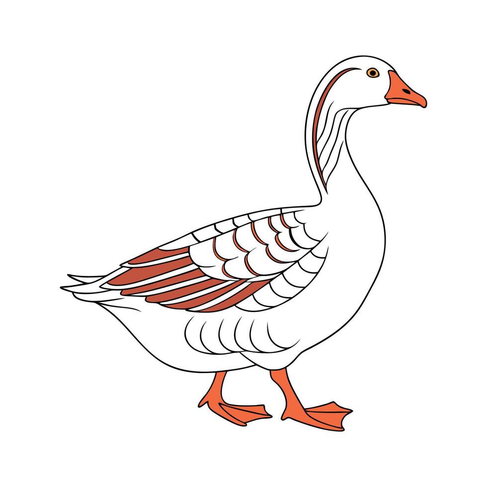 Charming Saxony Goose Realistic Color Illustration vector