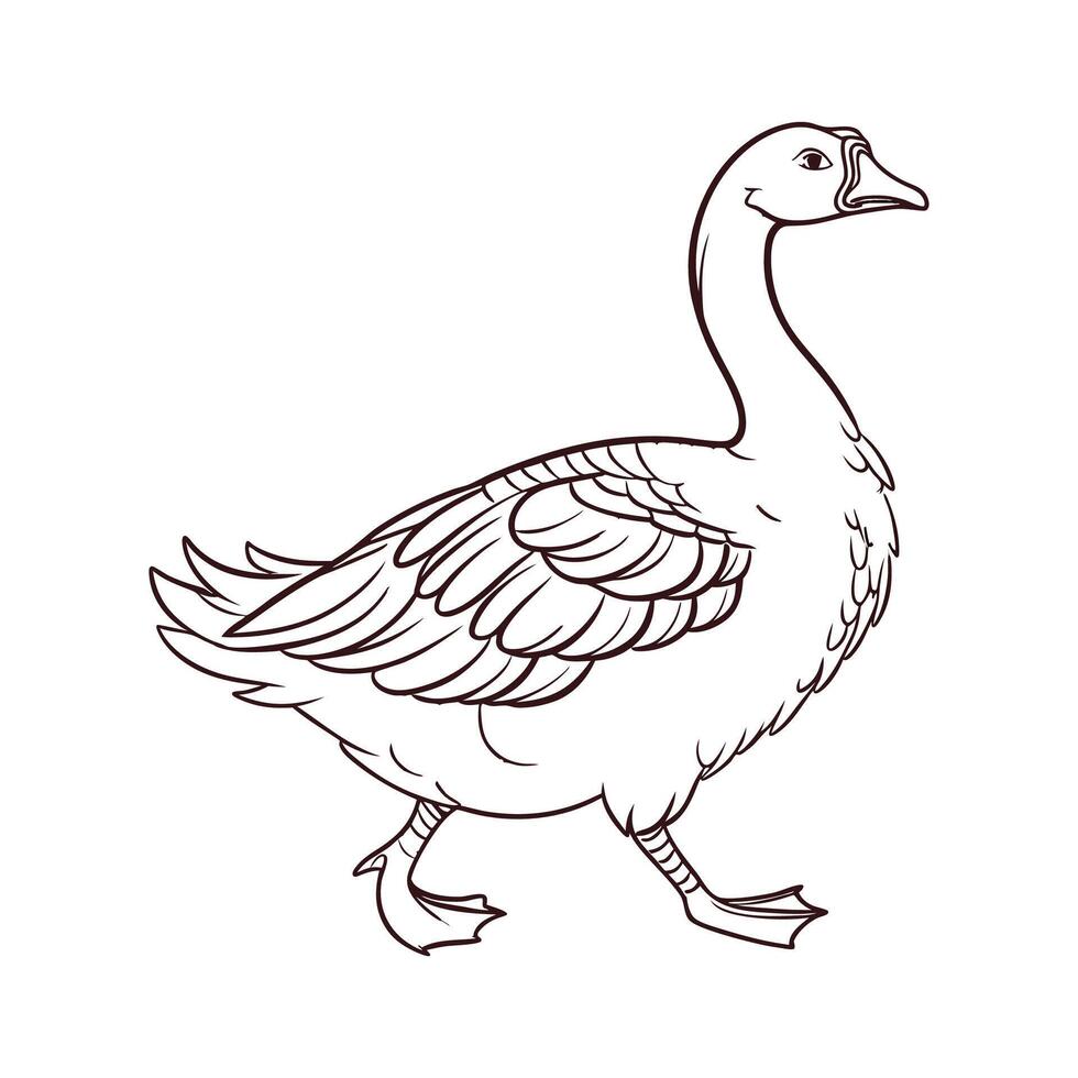 Charming Sebastopol Goose Realistic Color Illustration. vector