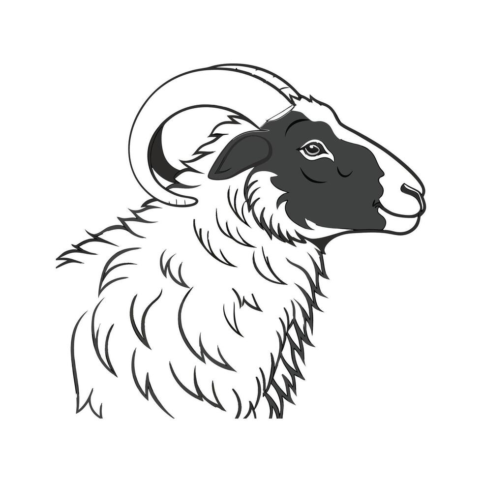 Vivid Scottish Blackface Sheep Realistic Color Illustration. vector