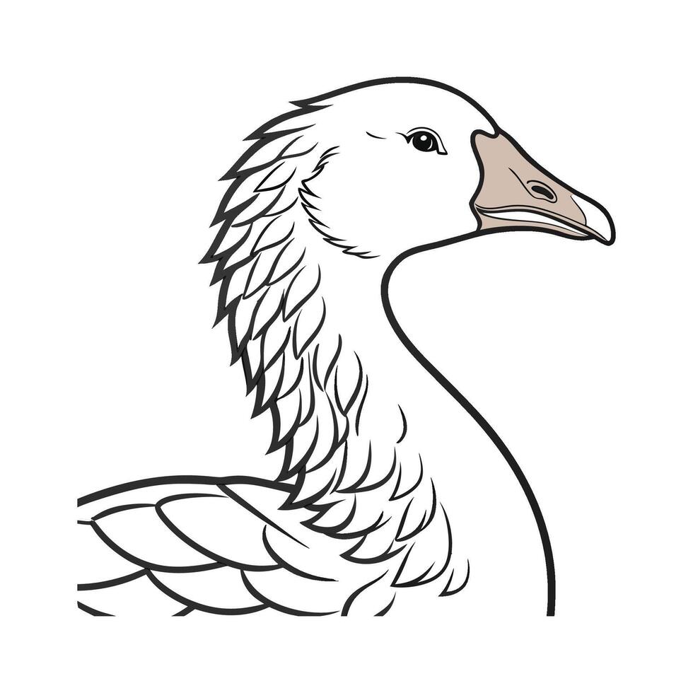 Vivid Sebastopol Goose Realistic Color Illustration. vector