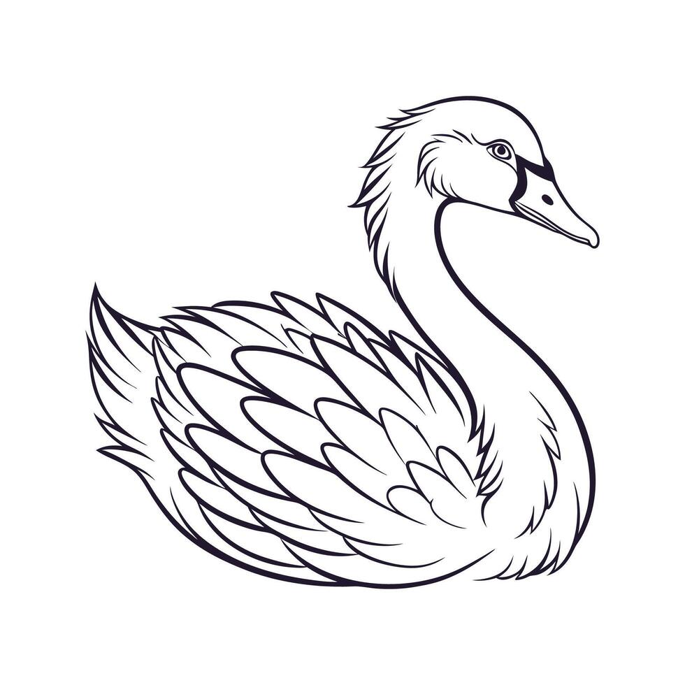 Engaging Sebastopol Goose Realistic Color Illustration vector