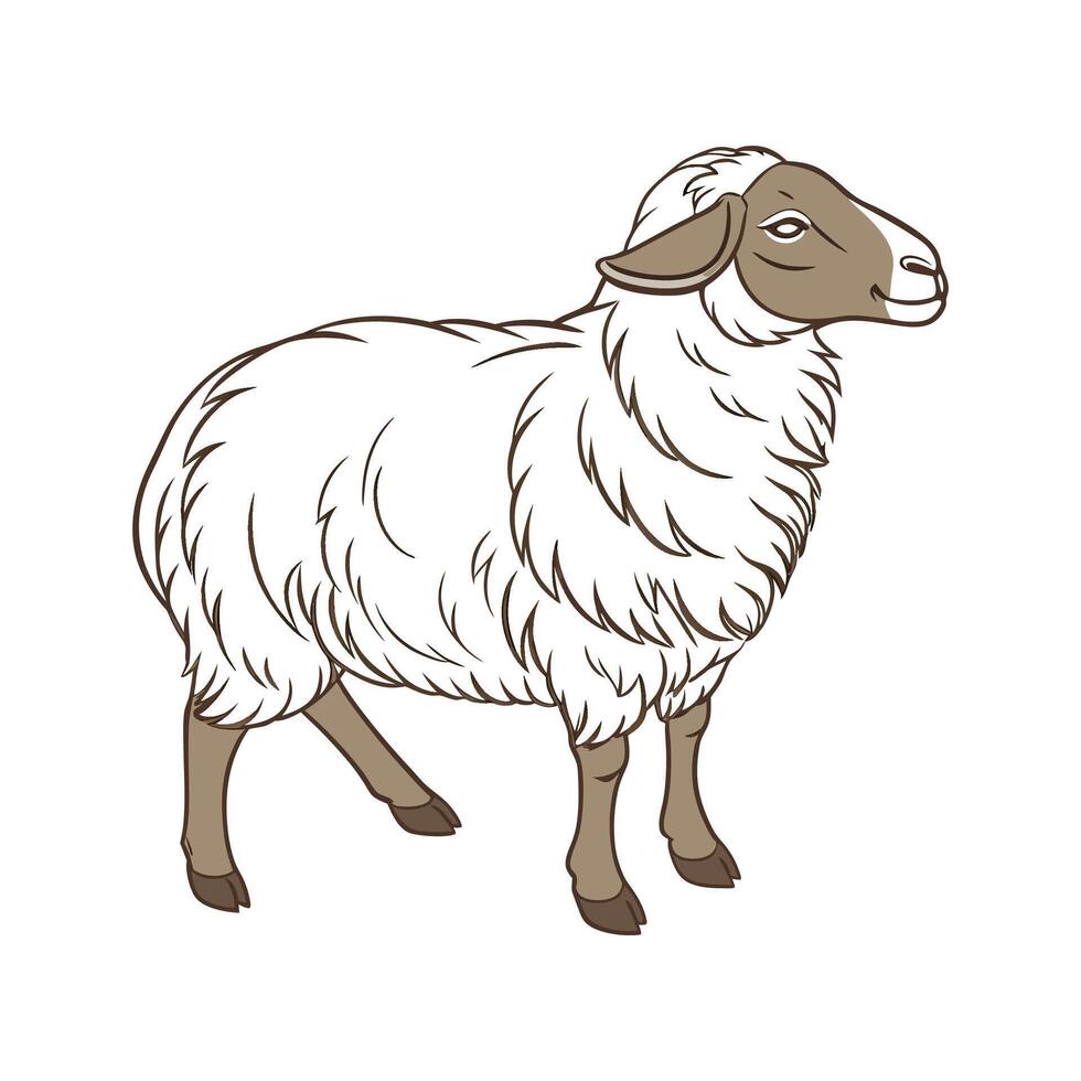 Dynamic Sheep Realistic Color Illustration with Outlines vector