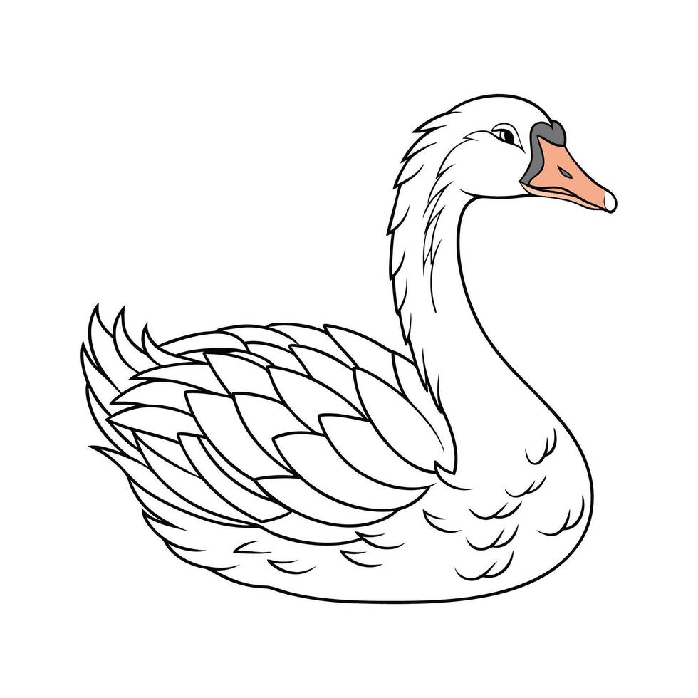 Dynamic Sebastopol Goose Realistic Color Illustration vector