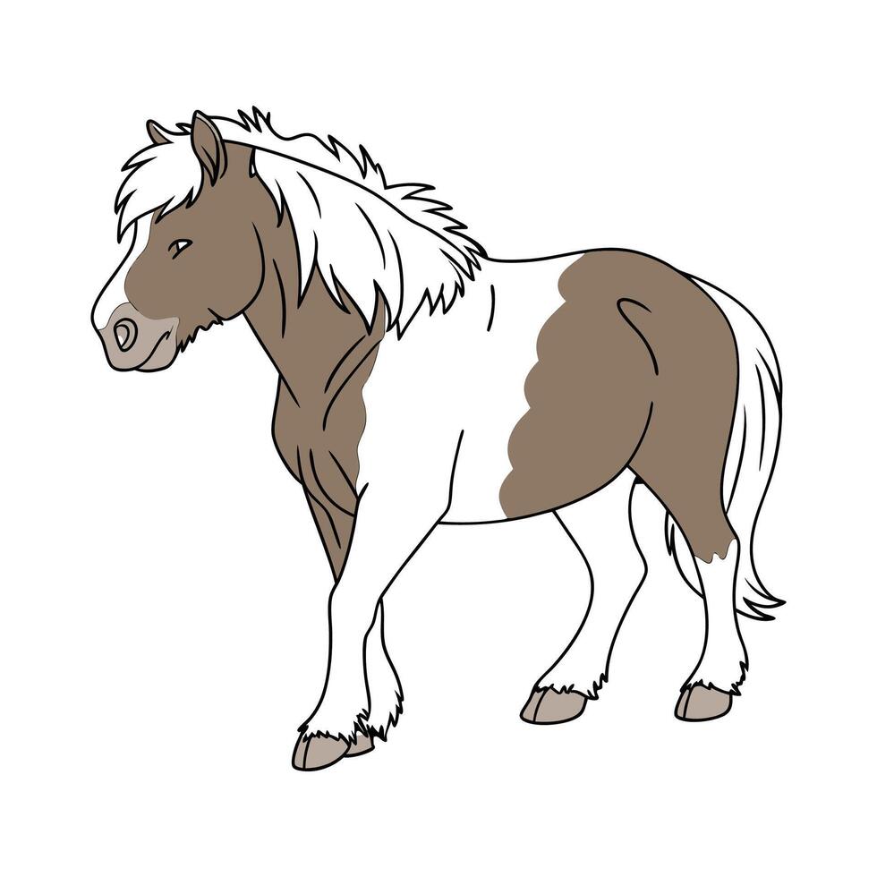 Vivid Shetland Pony Realistic Color Illustration. vector