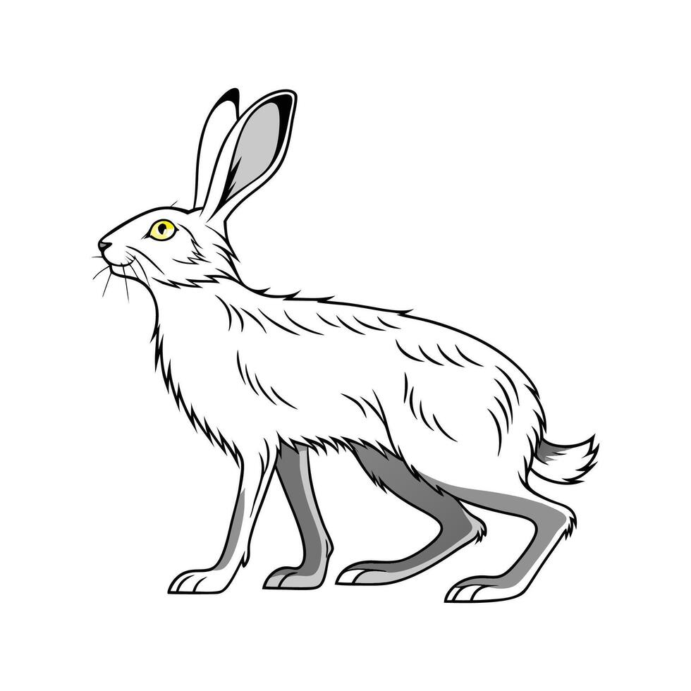 Charming Silver Fox Rabbit Realistic Art vector