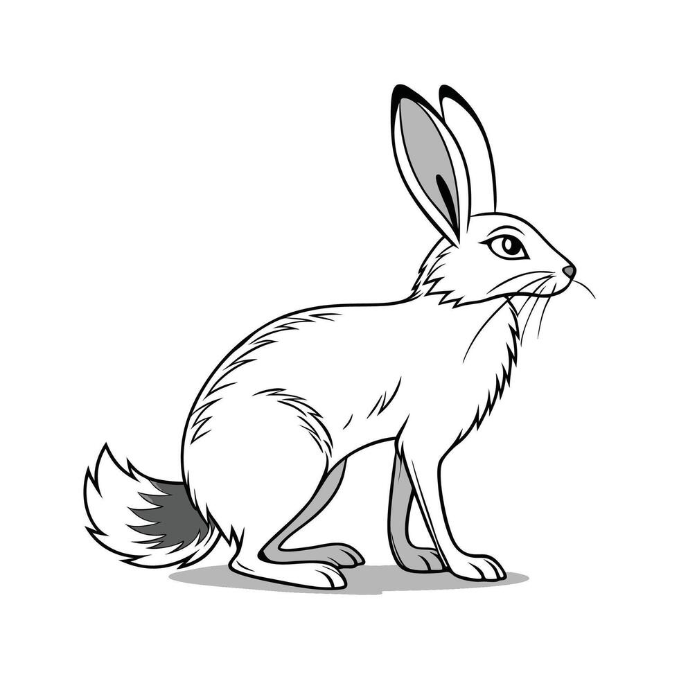 Realistic Silver Fox Rabbit Illustration Art vector