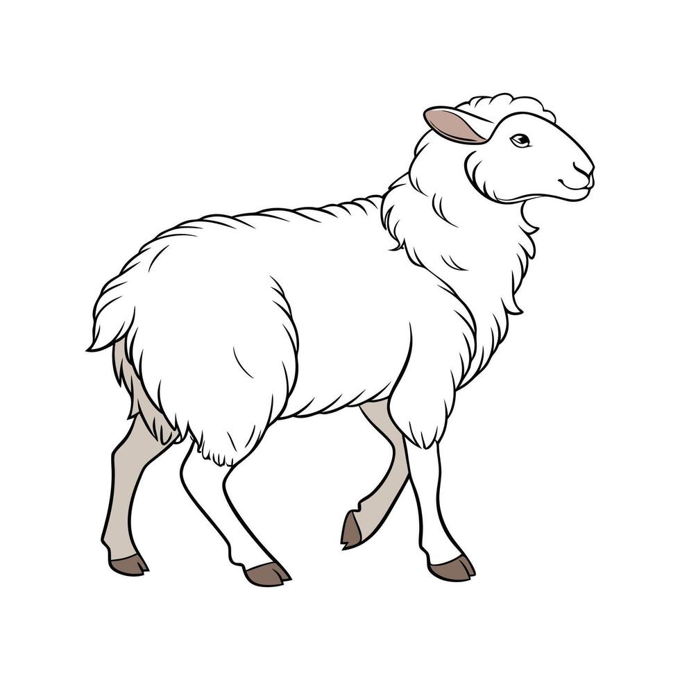 Vibrant Southdown Sheep Realistic Color Illustration vector
