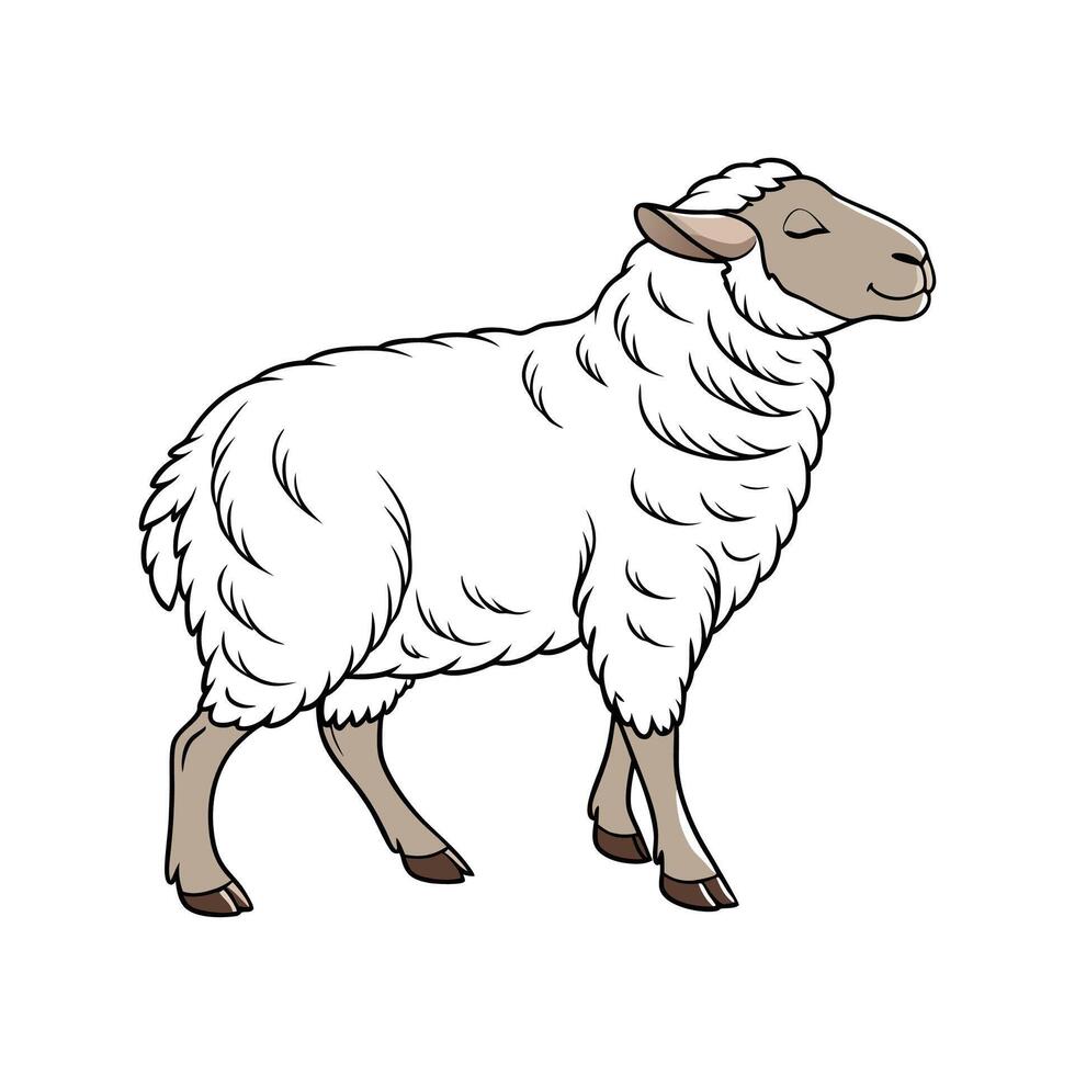 Distinctive Southdown Sheep Realistic Illustration vector