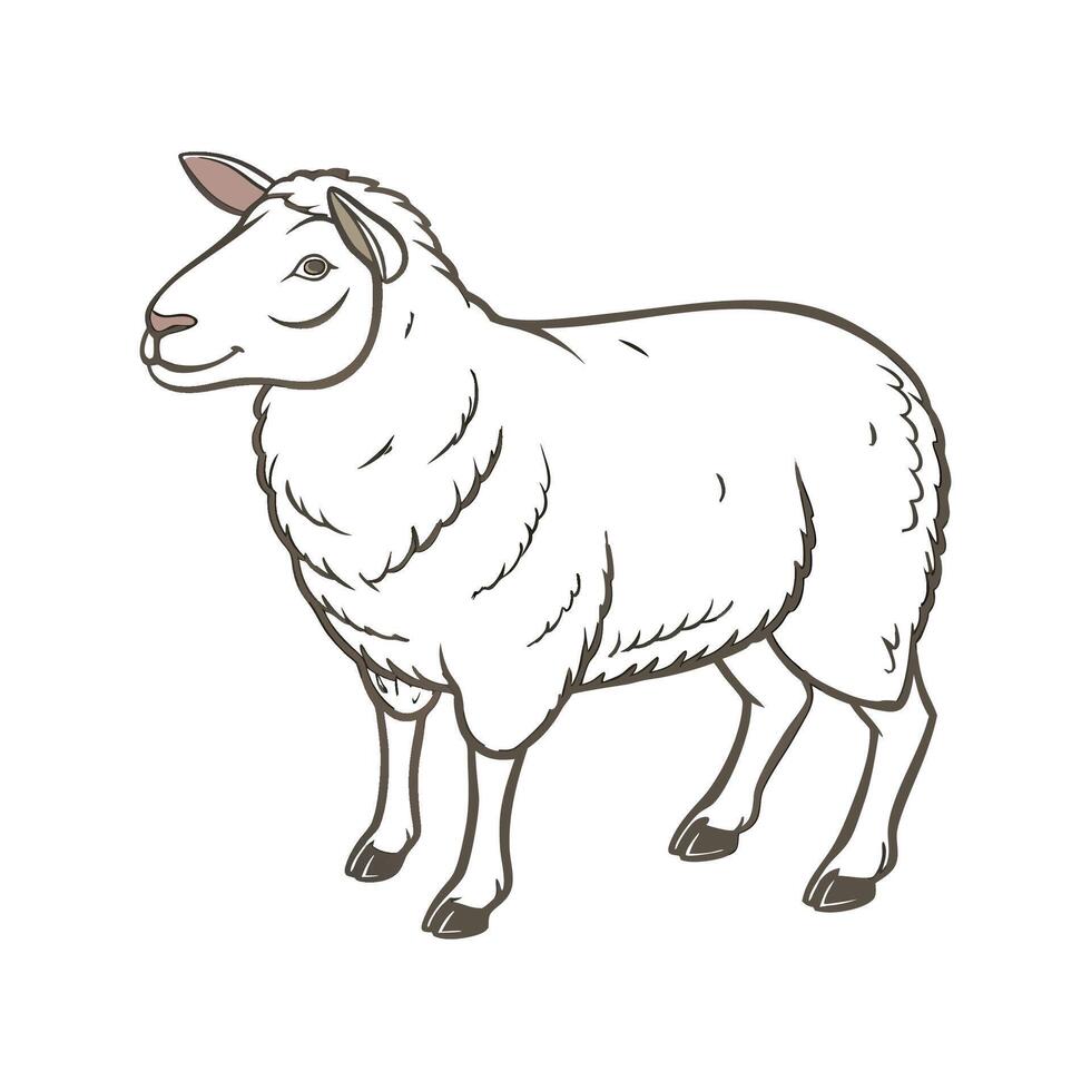 Unique Southdown Sheep Realistic Color Art vector