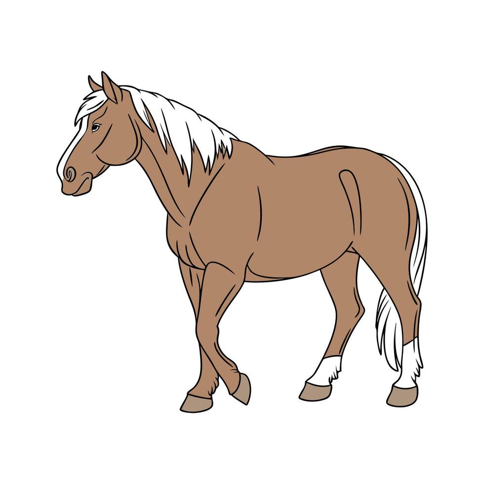 Realistic Suffolk Punch Horse Color Illustration vector