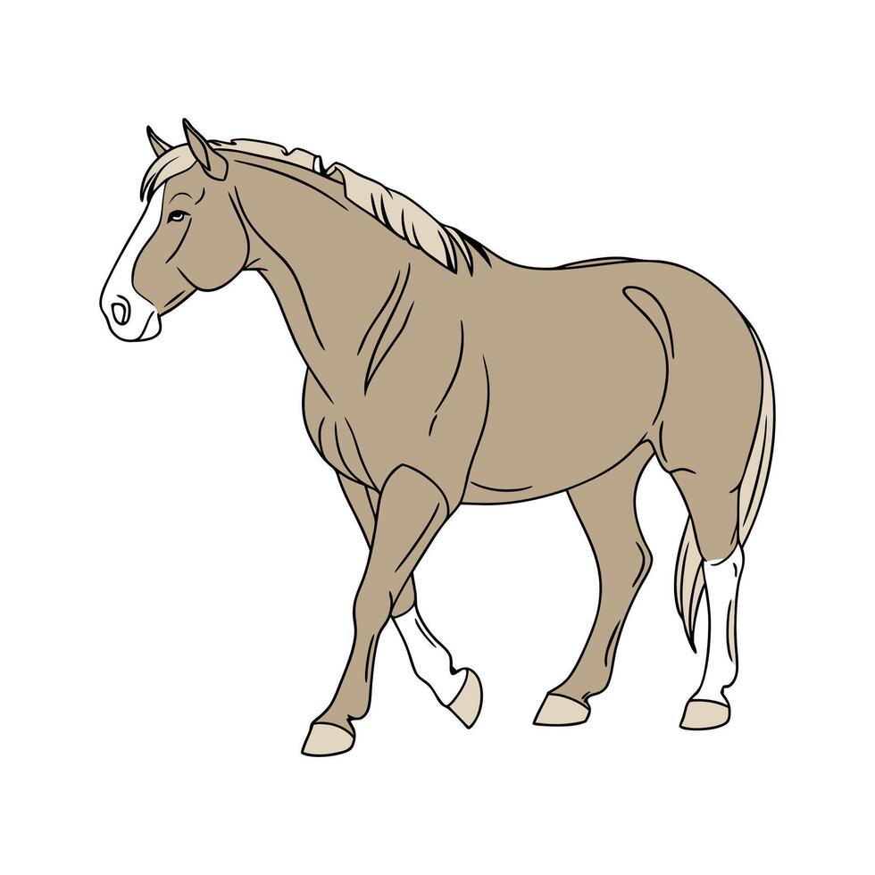 Distinctive Suffolk Punch Colorful Illustration vector