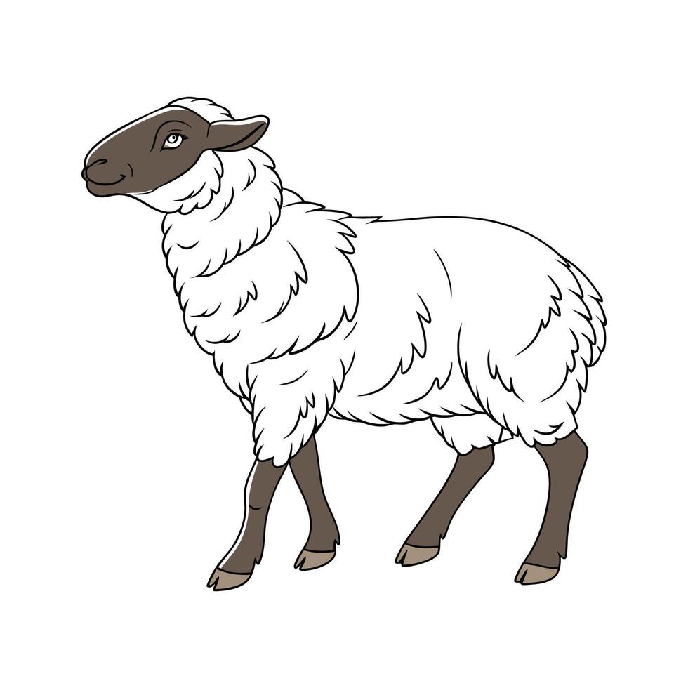 Cute Suffolk Sheep Realistic Color Illustration vector