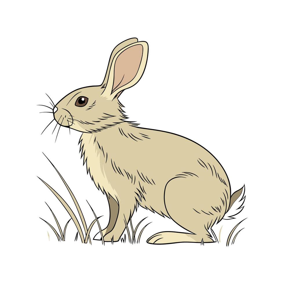 Realistic Tan Rabbit Colorful Illustration vector