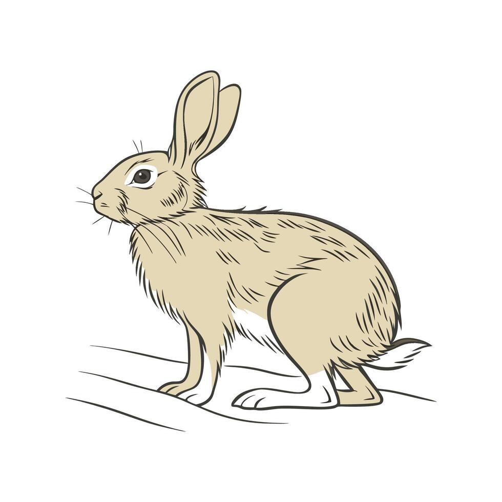 Colorful Tan Rabbit Realistic Illustration Design vector